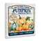 Stupell Industries Autumn Farm Pumpkin Patch Canvas Wall Art Design by Martin Podt